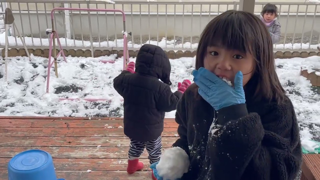 雪が降った！！もーちゃんの雪デビュー