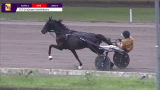 Vidéo de la course PMU TCT DRIEJARIGEN SATELLIETKOERS