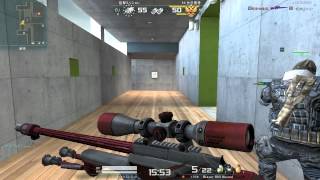 AVA Blaser R93 Wolfpack in GALLERY