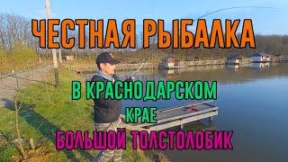 Рыбалка в Краснодарском крае. Большой толстолобик на лайтовую снасть