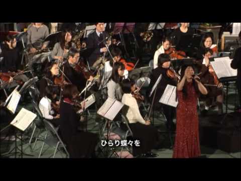 『ハナミズキ』~第１４回阿武山音楽祭より~