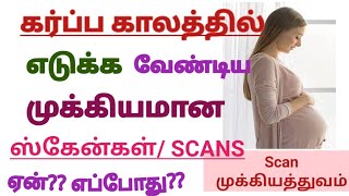 How many Scans to do During Pregnancy (Tamil) ||Pregnancy Scans ||Importance of Scan in Pregnancy