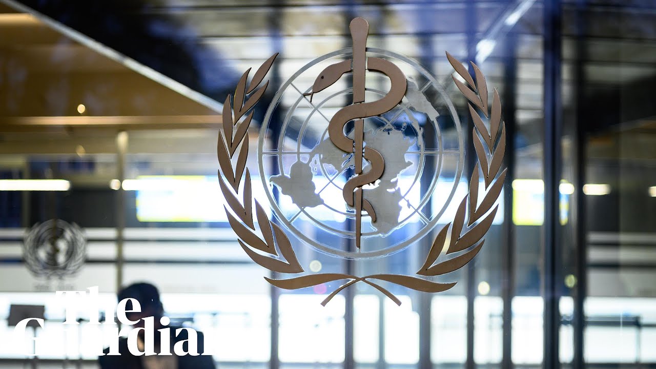 World Health Organization First Briefing on Coronavirus