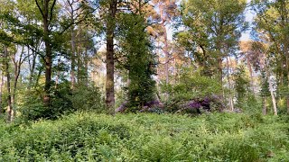Walk around Peover Cheshire area & Peover Eye. Superb Quiet Lane walking Superwoodland Spring 2025