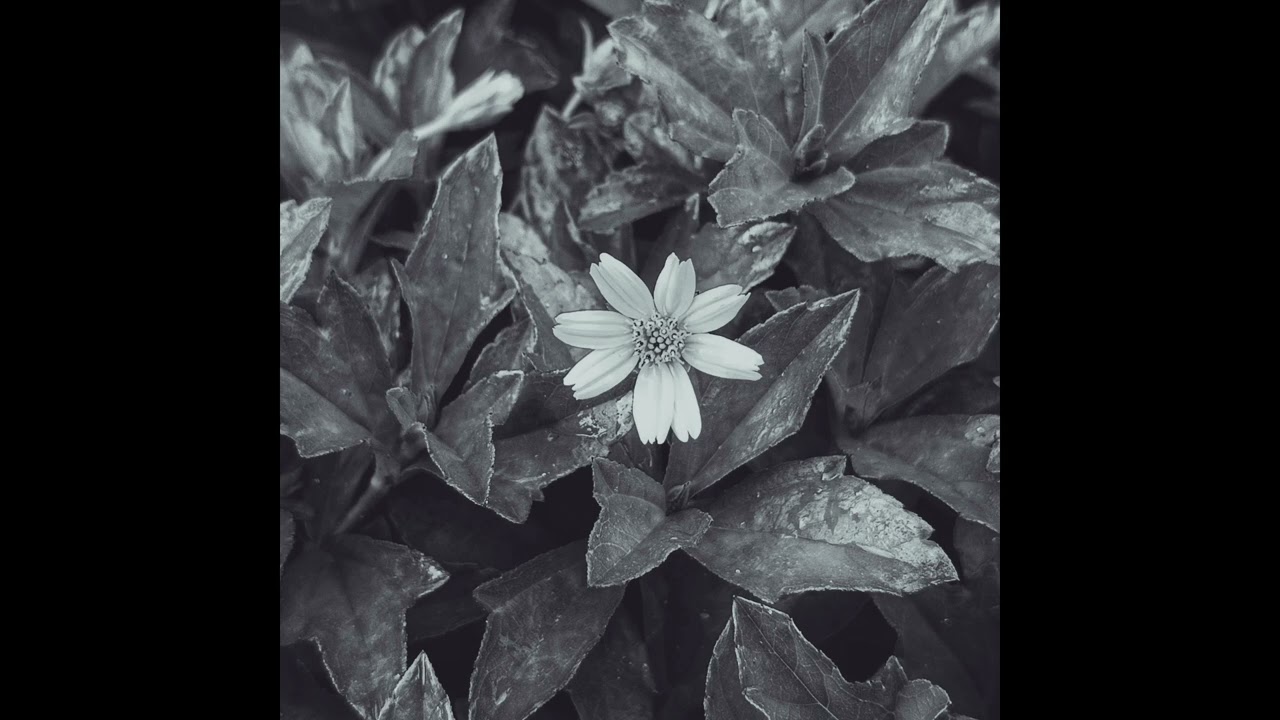 Rahil Blade - Flowers (unmastered demo)