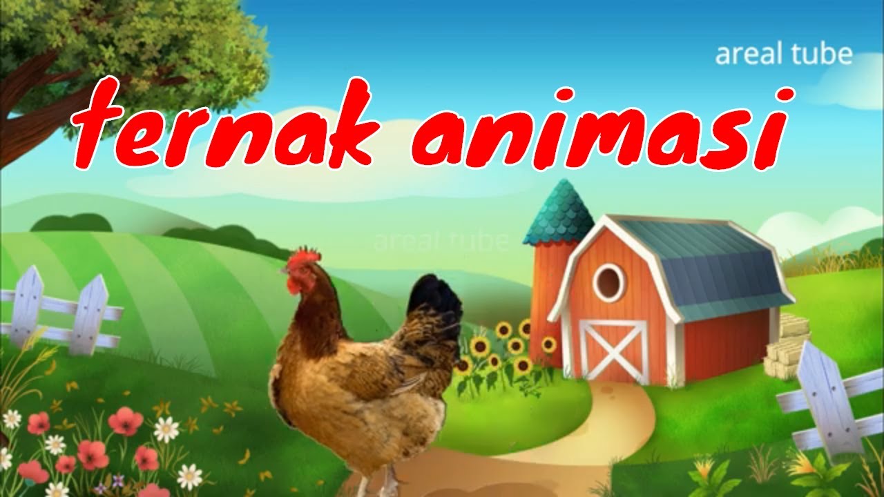 5200 Koleksi Gambar Animasi Binatang Unggas HD Terbaik
