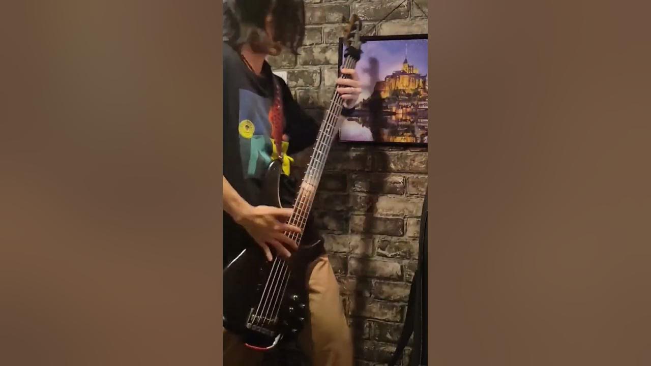 KoRn/Freak On a Leash[bass cover] #Shorts