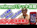 mineoパケット放題を試す