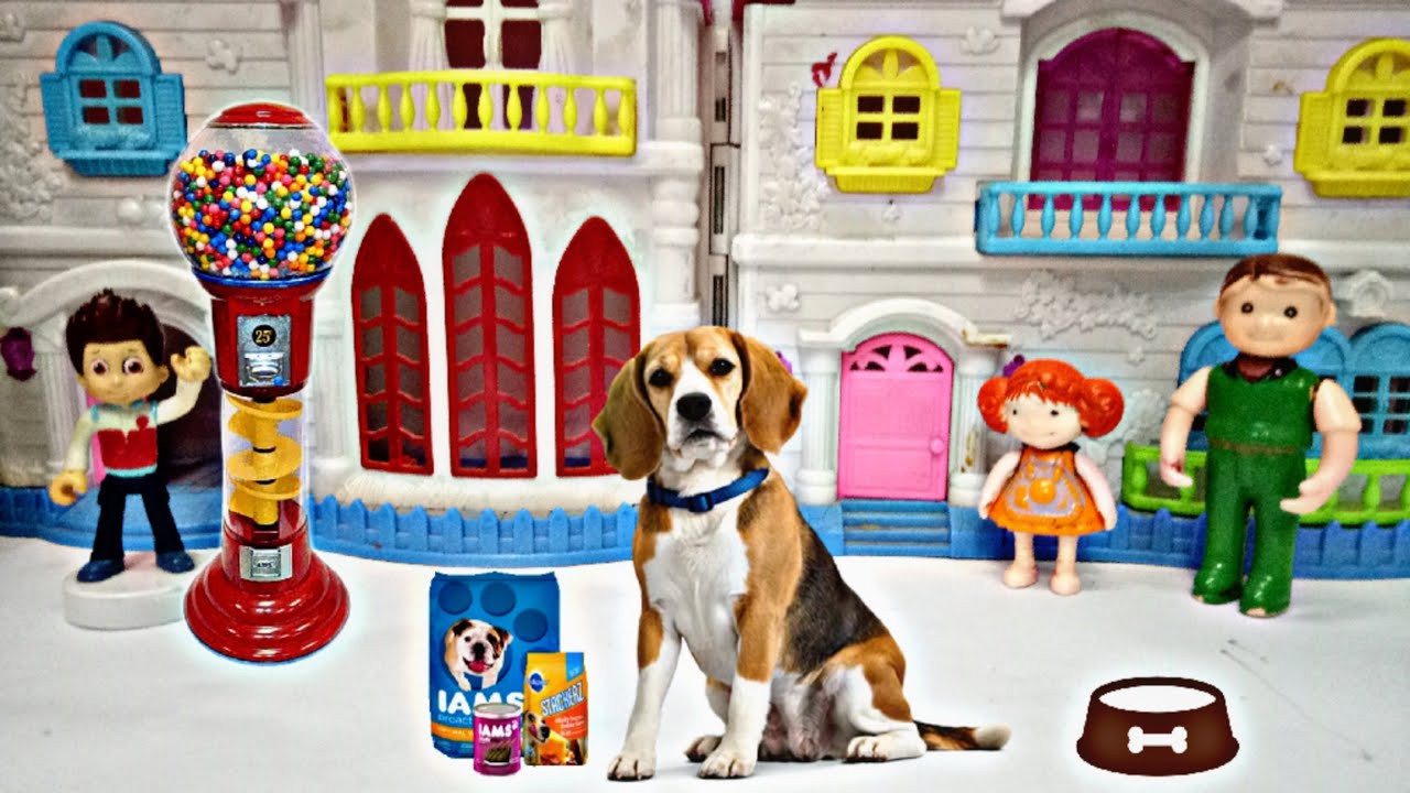 في بيتنا كلب جميل l ليلى و لعبة المحاكاة l يا ترى ليلى هتعمل إيه l يوميات ليلى