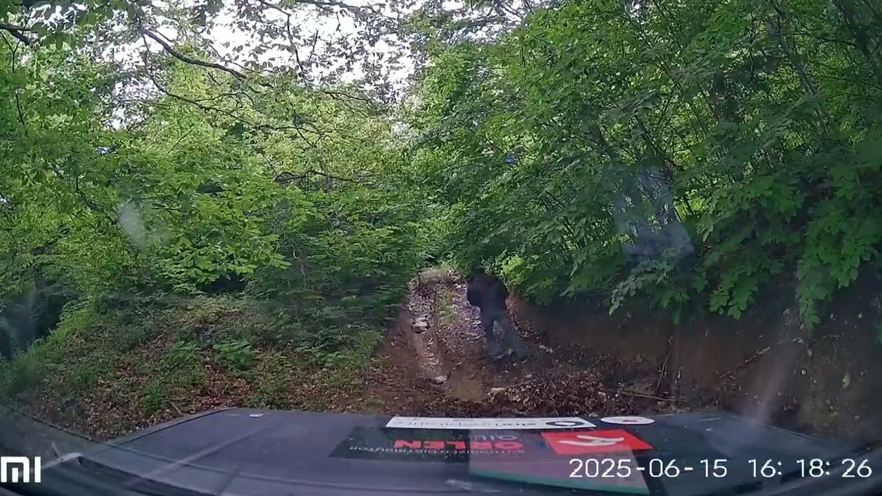 Khovle-Klikisjvari-Tami tour 15.06.2025 part 4