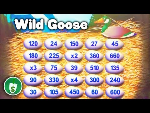 Wild Goose slot machine, bonus