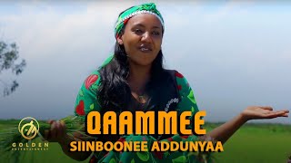 Siinboonee Addunyaa - Qaammee - Ethiopian Oromo Music 2020 [ Video]