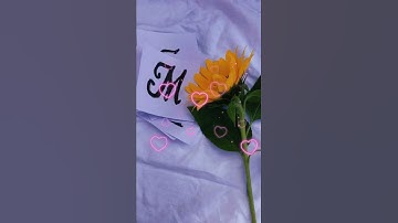 M letter name status video || Tag someone 💙 || M ❤️