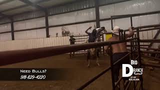 Bull Riding Big D Ranch Horny Mike
