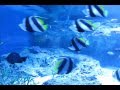 【People in the box】ヨーロッパを全部アカペラで歌いました【低音質】