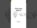 Pohon yang Ngobrol #shorts