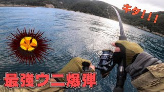 【五島列島】堤防から最強ウニ爆弾を落下させて水中炸裂！【九州一周釣り旅】#14