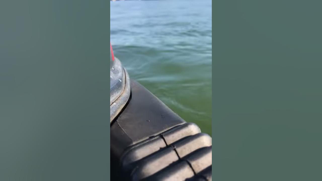 Fuel pump ticking YouTube