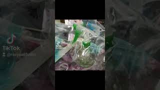 Sprayer Semprotan Violet Bulat Rp8000 shorts pakanburung burungkicau