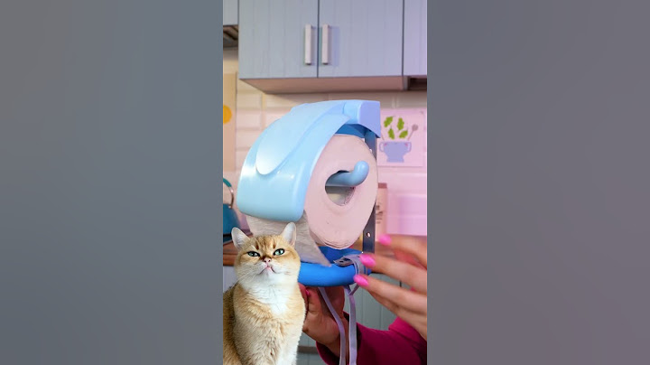 Satisfying ASMR: Smart Gadget for a Clean & Fun Mealtime 🍴😋 #reaction #asmr #cat #gadget