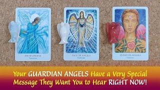 Your Guardian Angels Have a Very Special Time Sensitive Message for you😇🪽👉⌛📩 #angelmessages