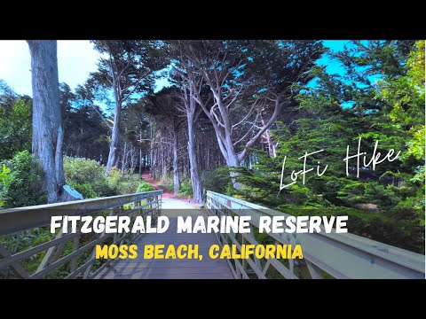 HIDDEN GEM in California,  Fitzgerald Marine Reserve, Moss Beach | LoFi Hike