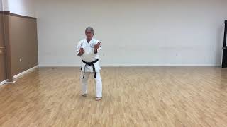 Gekisai Sho - Kodokan - Okinawa Goju-Ryu Karate-Do Terry Reed