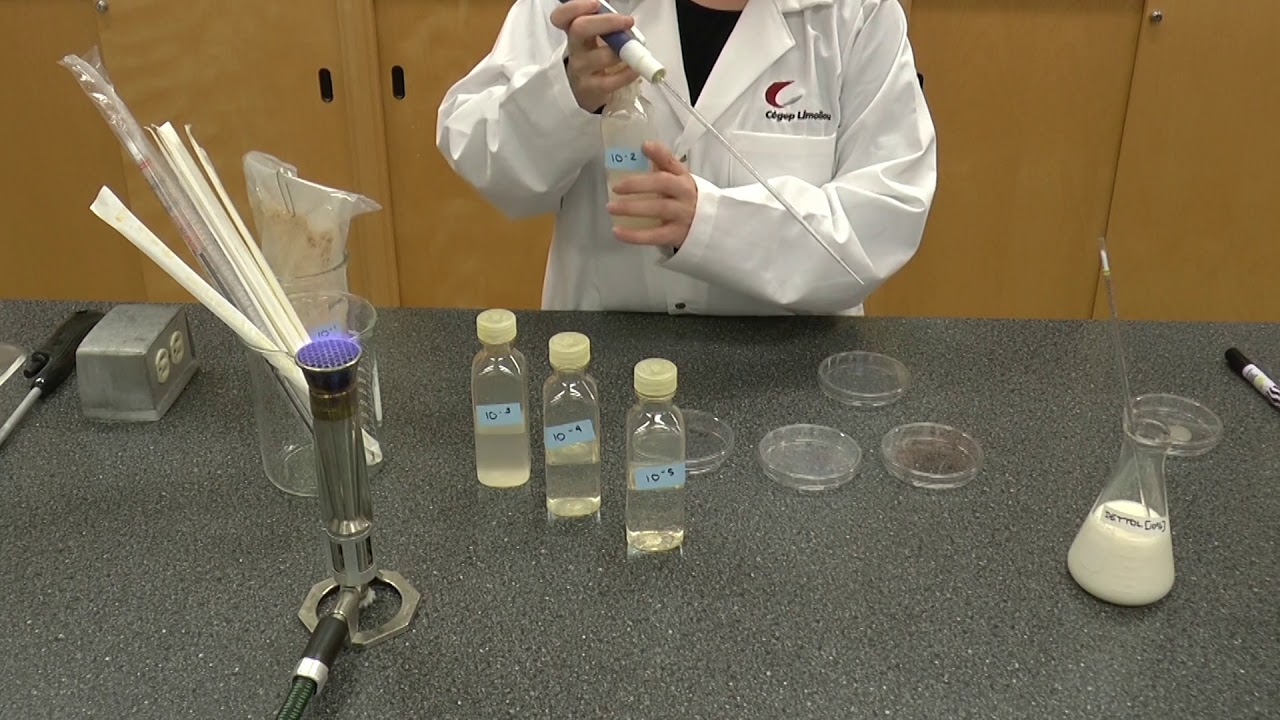 Ensemencement dans la masse