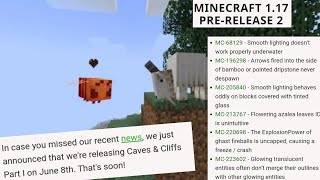 Minecraft net: 1.17 pre-release 2 released! fixed bugs and fixed several crashes!