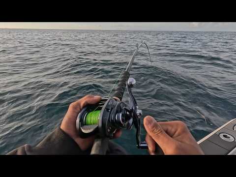 Biggest Bass EVER Caught on an Alabama Rig! NOT CLICKBAIT