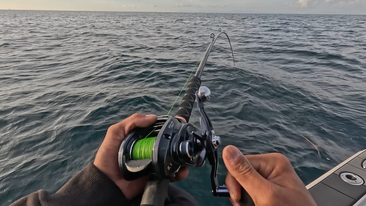 Biggest Bass EVER Caught on an Alabama Rig! NOT CLICKBAIT
