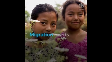 5 things you might not know about migration...