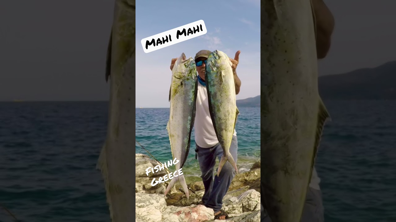 “Mahimahi” Fishing Greece Fishing Kefalonia shorts YouTube