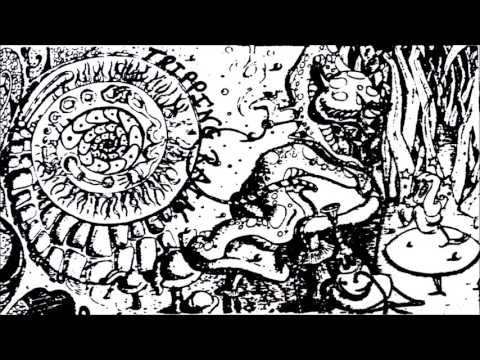 Tripping Rain - "Rise" - LIVE Music Video [Audio]