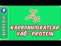 Karbonhidratlar, Yağ ve Proteinler | 9. Sınıf Biyoloji