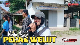 PECAK WELUT | NADA ASYIFA | TWO SONS | SHOW OF THE VISIT OF GRANDFATHER SURYA NEGARA - WIDASARI