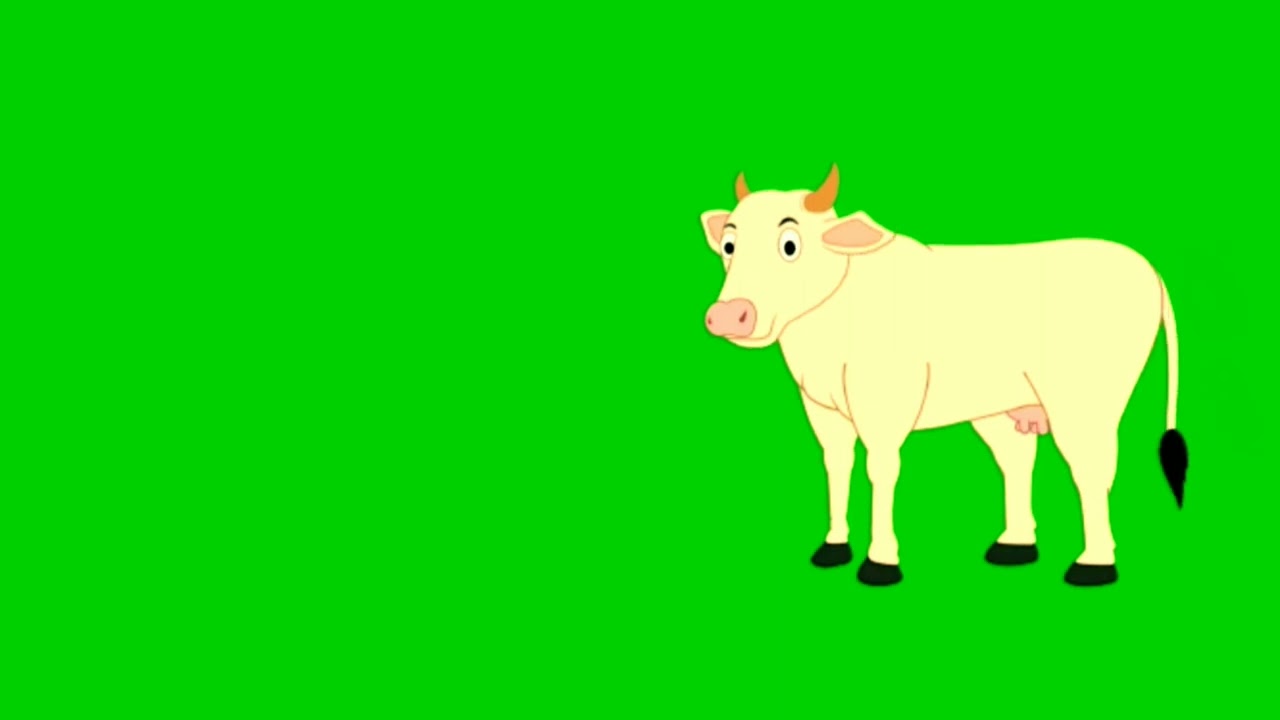 Cow Green Screen/Cartoon Green Screen/Cartoon Cow Green Screen/Cartoon Cow