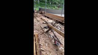 Natural Wood Cutting Processing