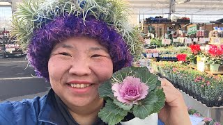 葉牡丹のドーム