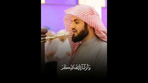 تلاوة هادئة بصوت القارئ رعد الكردي 😴🤍    #قرآن #رعد_الكردي #quran #تلاوة_خاشعة