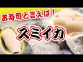 【江戸前スミイカ】お寿司と言えばこのイカ！やわらかスミイカを寿司と刺身で食べてみた【さばき方】【料理】