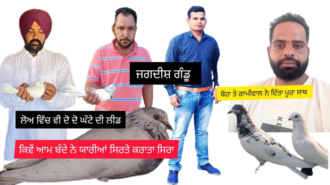 Ik Shonk kabootarbaazi Da Full Interview ਬਾਈ ਜਗਦੀਸ਼ ਗੰਢੂਆਂ ਯਾਰਾਂ ਦੀਆਂ ਯਾਰੀਆਂ ਨੇ ਬਣਾਇਆ ਨਾਂ ਲੀਡ ਕਰੀ 