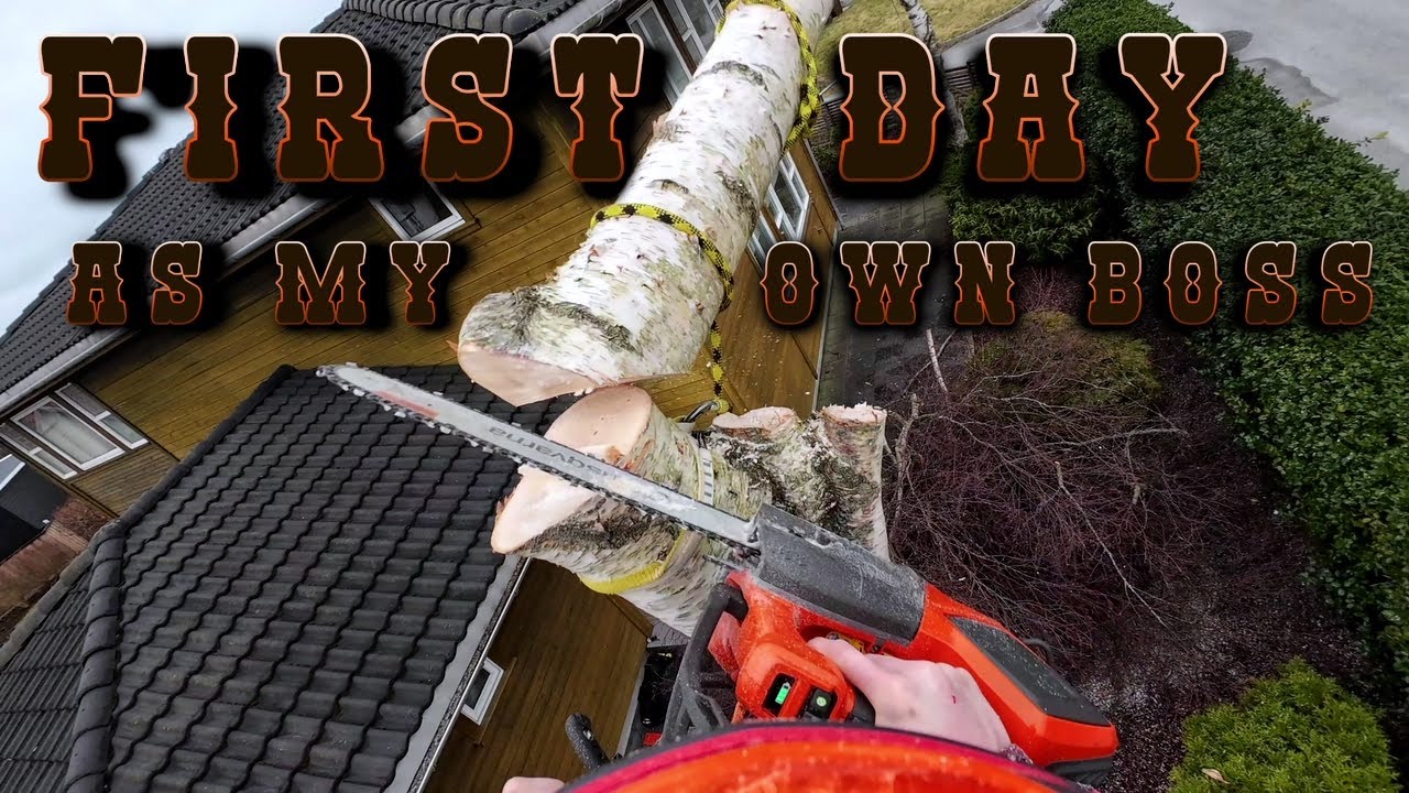 Removing Two Birchtrees Close To a House