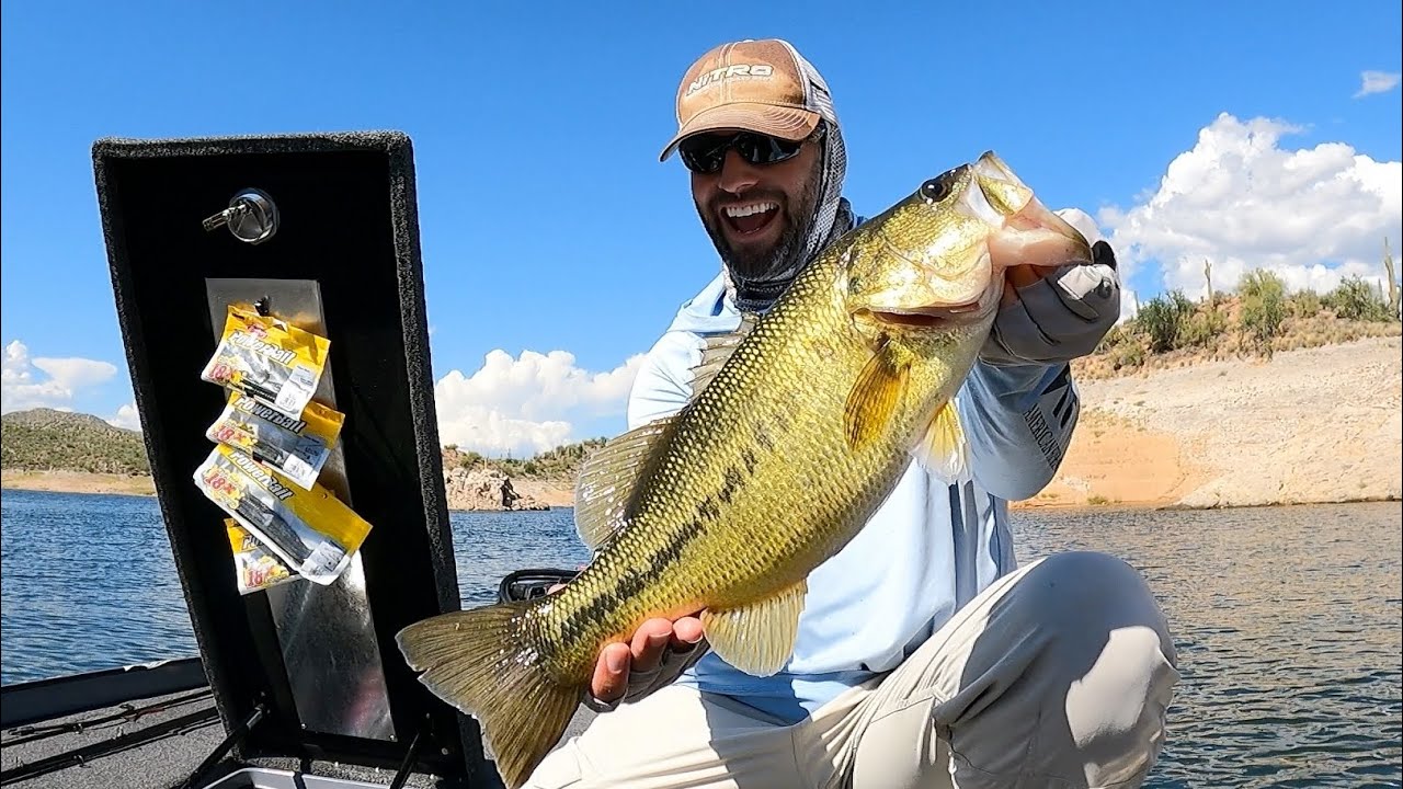 How I MAKE MONEY Fishing Tournaments at BARTLETT LAKE