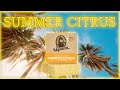 Lost in the sun  summer citrus  dr squatch soap review