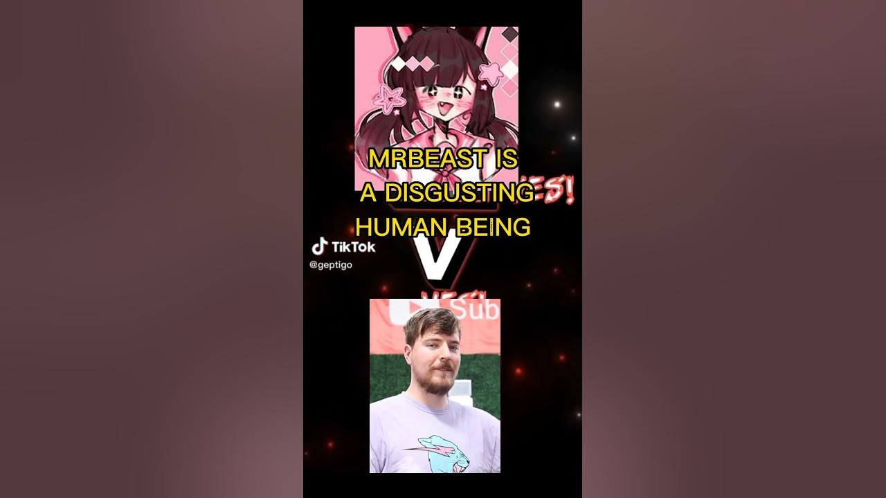 MrBeast is a Disgusting Human Being Meowbahh is Better Than Cringe YouTube Exposed lol Meo - MrBeast is a Disgusting Human Being Meowbahh is Better Than Cringe YouTube Exposed lol Meo