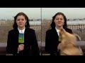 Dog Steals Reporter’s Microphone On Live Television