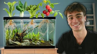 I Grew 7 Easy Vegetables in My Aquarium!