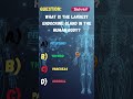 What Is the Largest Endocrine Gland in the Human Body? 🧪 | Human Anatomy Quiz #like