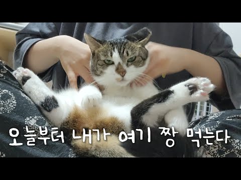 오늘부터 내가 여기 짱 먹는다ㅋ
